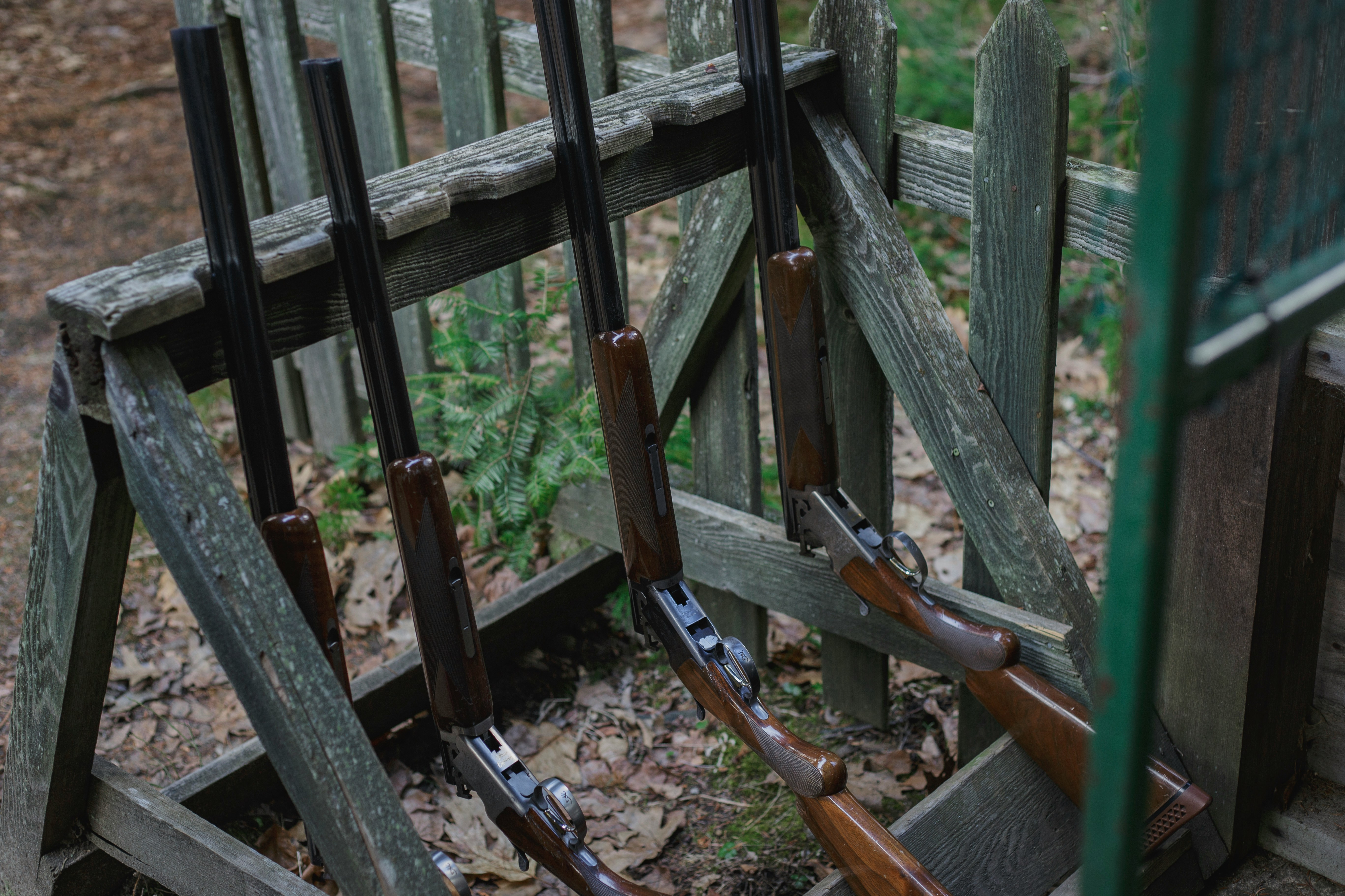 20 Gauge Shells Explained: What to Use and When